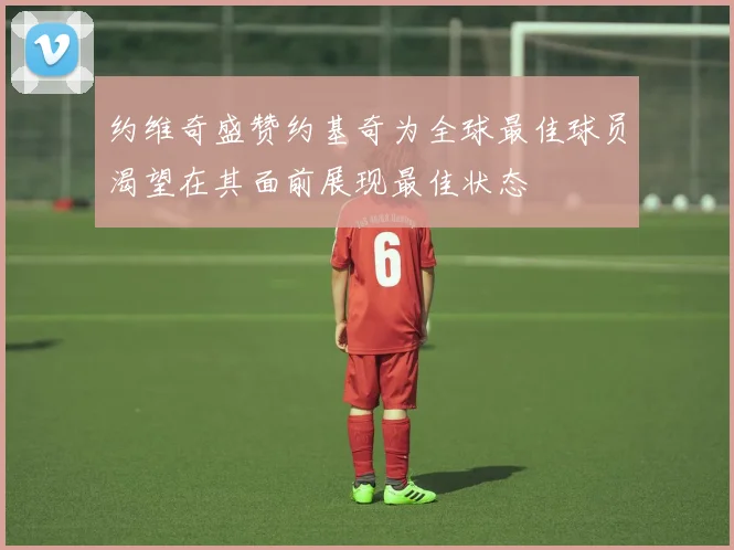约维奇盛赞约基奇为全球最佳球员渴望在其面前展现最佳状态