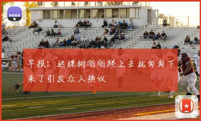 早报：这棵树刚刚爬上去就匆匆下来了引发众人热议