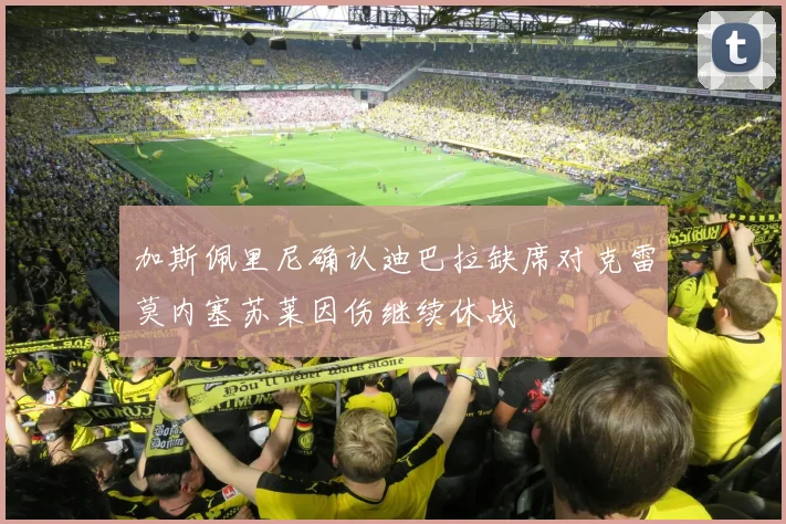 加斯佩里尼确认迪巴拉缺席对克雷莫内塞苏莱因伤继续休战