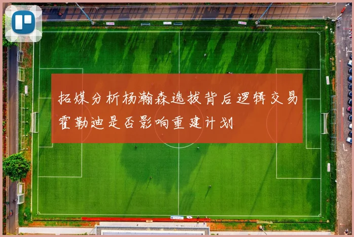 拓媒分析杨瀚森选拔背后逻辑交易霍勒迪是否影响重建计划