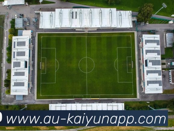 开云体育服务体系